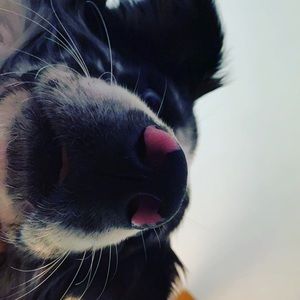 Meet your Posher, Erana